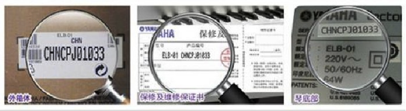 紧急声明：谨防AG旗舰厅电子琴假冒伪劣商品 